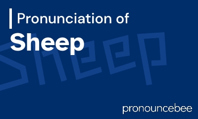 how to pronounce sheep feature image