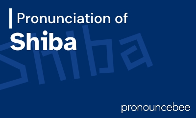 how to pronounce shiba feature image
