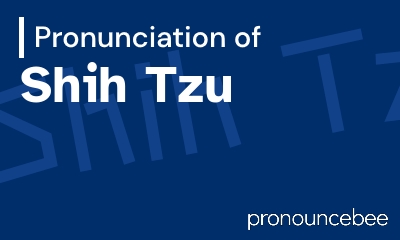 how to pronounce shih-tzu feature image