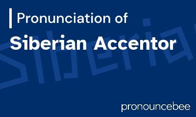 how to pronounce siberian-accentor feature image