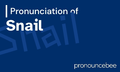 how to pronounce snail feature image