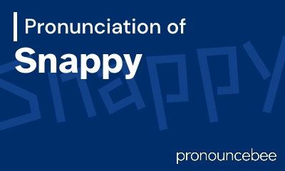 how to pronounce snappy feature image