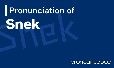 how to pronounce snek feature image