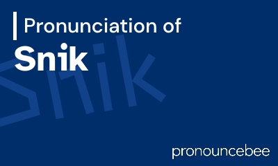 how to pronounce snik feature image
