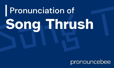 how to pronounce song-thrush feature image