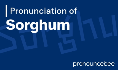 how to pronounce sorghum feature image