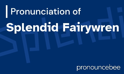 how to pronounce splendid-fairywren feature image