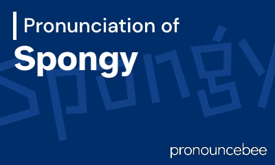 how to pronounce spongy feature image