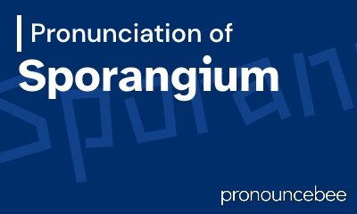 how to pronounce sporangium feature image