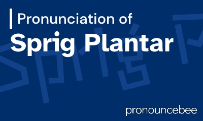 how to pronounce sprig-plantar feature image