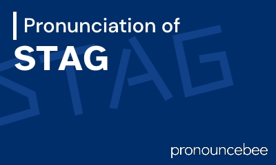 how to pronounce stag feature image