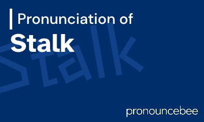 how to pronounce stalk feature image