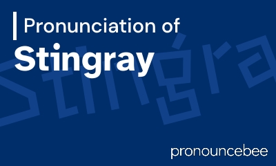 how to pronounce stingray feature image