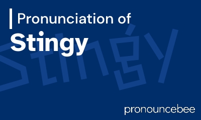 how to pronounce stingy feature image
