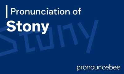 how to pronounce stony feature image