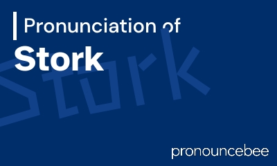 how to pronounce stork feature image