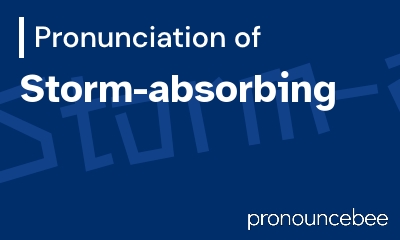 how to pronounce storm-absorbing feature image