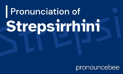 how to pronounce strepsirrhini feature image