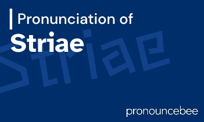 how to pronounce striae feature image
