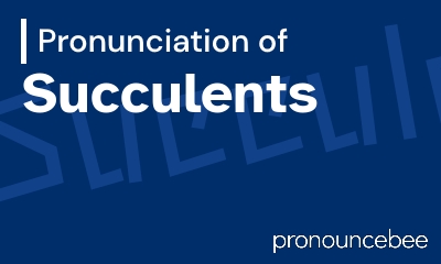 how to pronounce succulents feature image