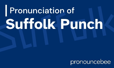 how to pronounce suffolk-punch feature image