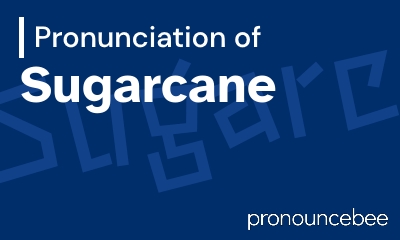 how to pronounce sugarcane feature image