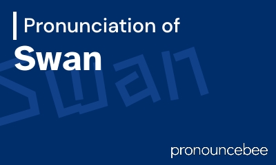 how to pronounce swan feature image