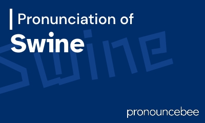 how to pronounce swine feature image