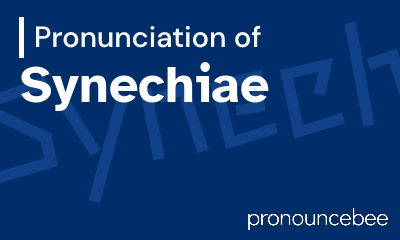 how to pronounce synechiae feature image