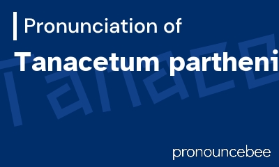 how to pronounce tanacetum-parthenium feature image