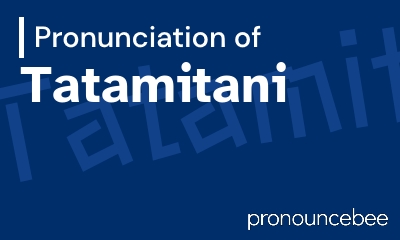 how to pronounce tatamitani feature image
