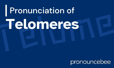 how to pronounce telomeres feature image
