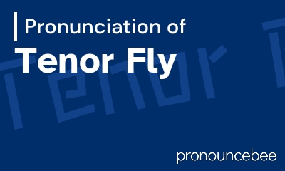how to pronounce tenor-fly feature image