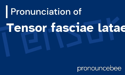 how to pronounce tensor-fasciae-latae feature image