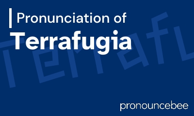 how to pronounce terrafugia feature image