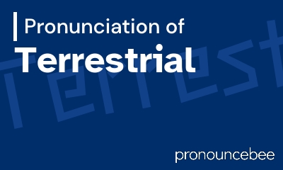 how to pronounce terrestrial feature image