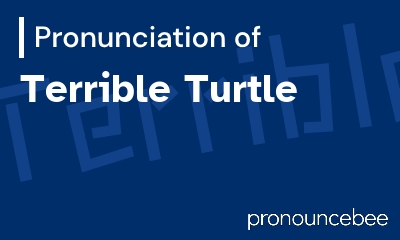 how to pronounce terrible-turtle feature image