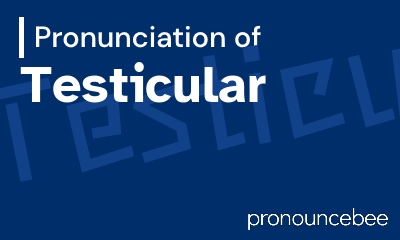 how to pronounce testicular feature image