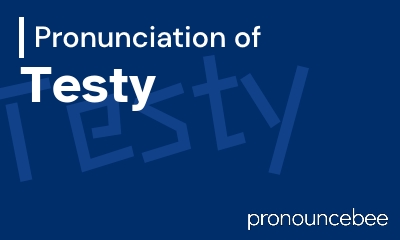 how to pronounce testy feature image