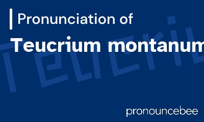 how to pronounce teucrium-montanum feature image