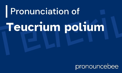 how to pronounce teucrium-polium feature image