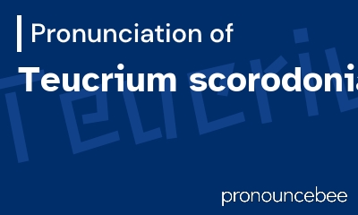how to pronounce teucrium-scorodonia feature image