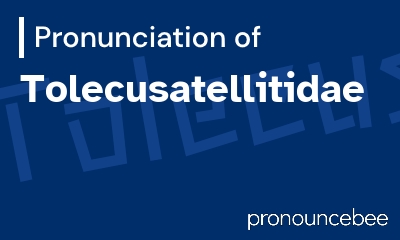 how to pronounce tolecusatellitidae feature image