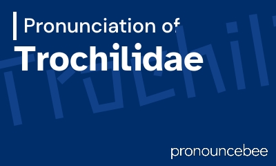 how to pronounce trochilidae feature image