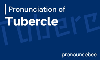 how to pronounce tubercle feature image