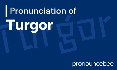 how to pronounce turgor feature image