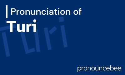 how to pronounce turi feature image