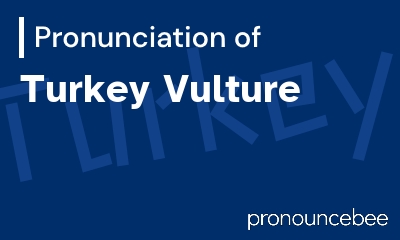 how to pronounce turkey-vulture feature image
