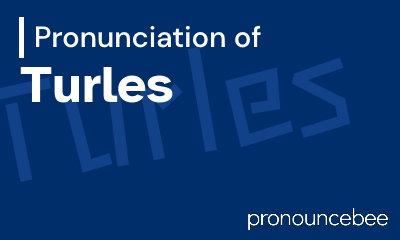 how to pronounce turles feature image