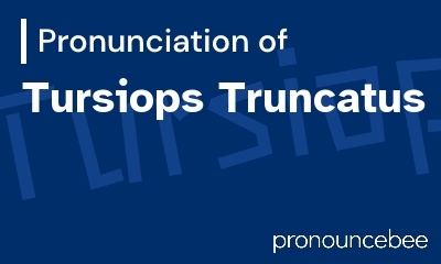 how to pronounce tursiops-truncatus feature image